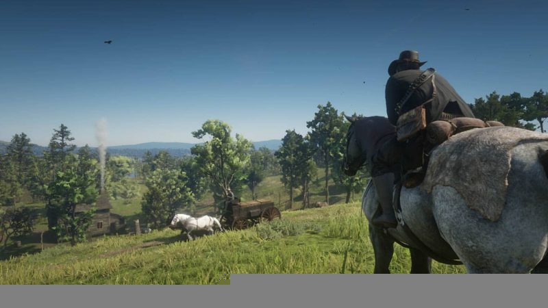 Red Dead Redemption II Countryside